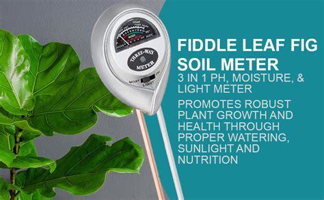 custom fiddle fig moisture meter|fiddle leaf fig soil meter.